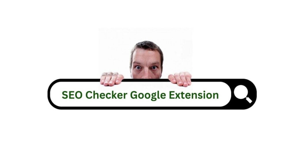 SEO Checker Google Extension