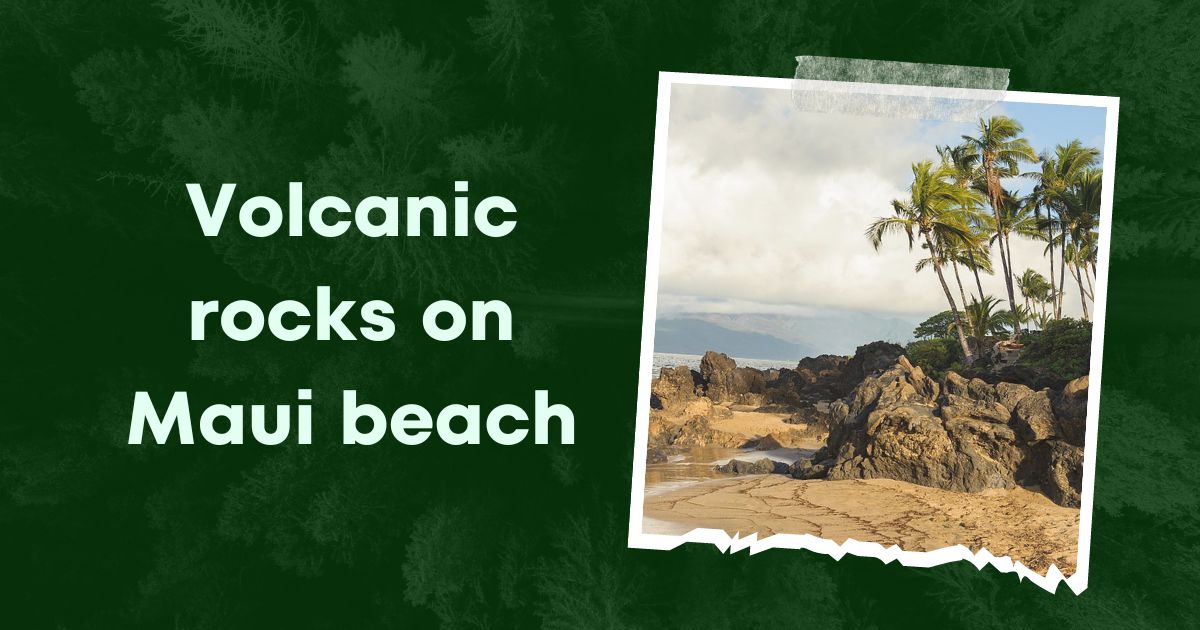 Volcanic rocks on Maui beach